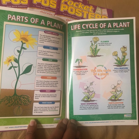 Science Cheat Sheet Books - Picture 4 of 4